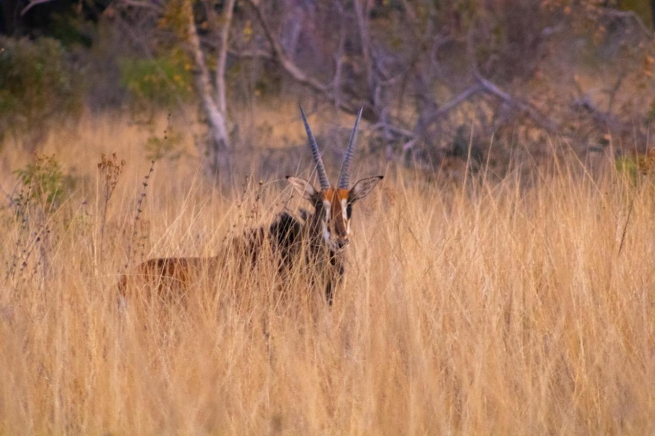 Fumani Game Lodge Модімолле Екстер'єр фото