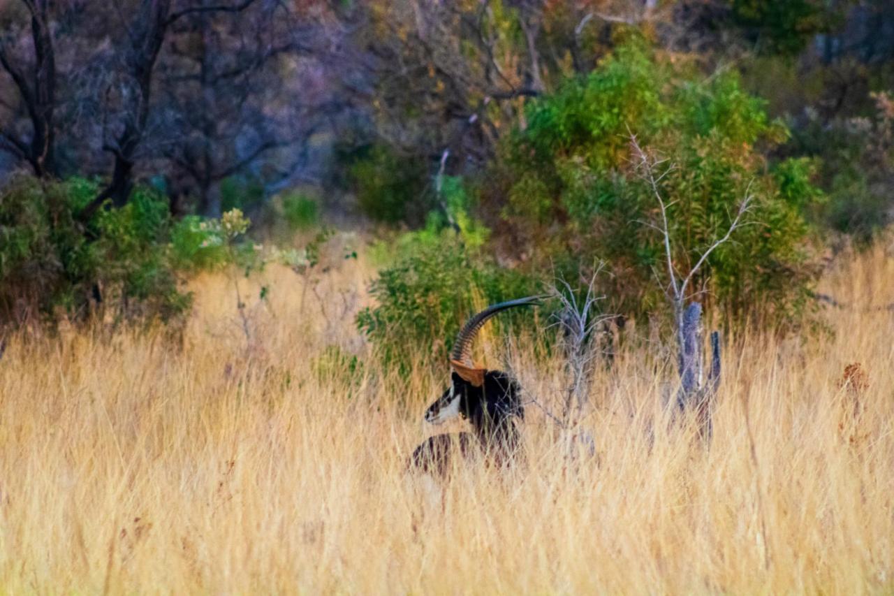 Fumani Game Lodge Модімолле Екстер'єр фото
