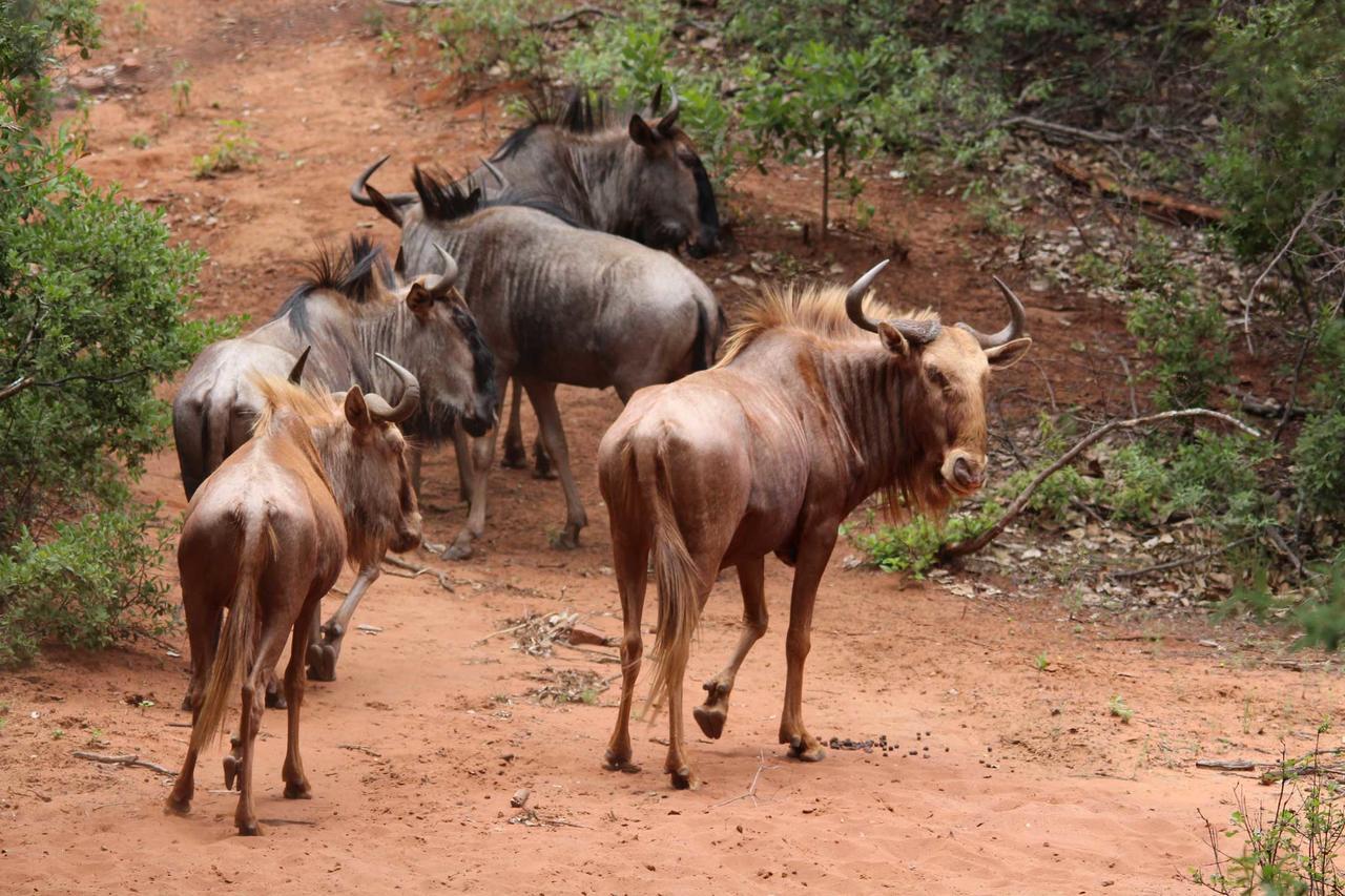 Fumani Game Lodge Модімолле Екстер'єр фото